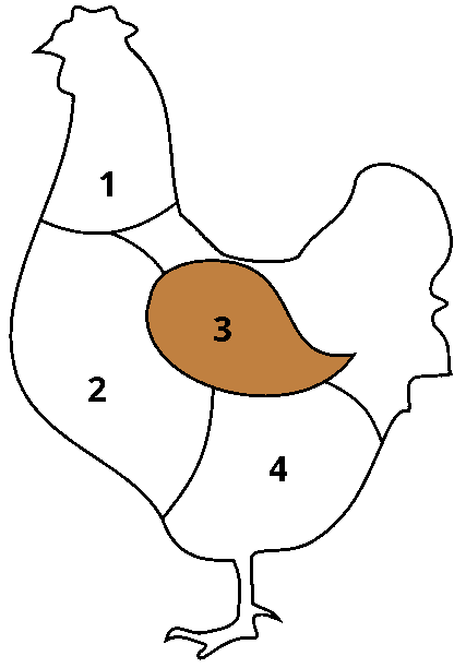 hydinove3.png